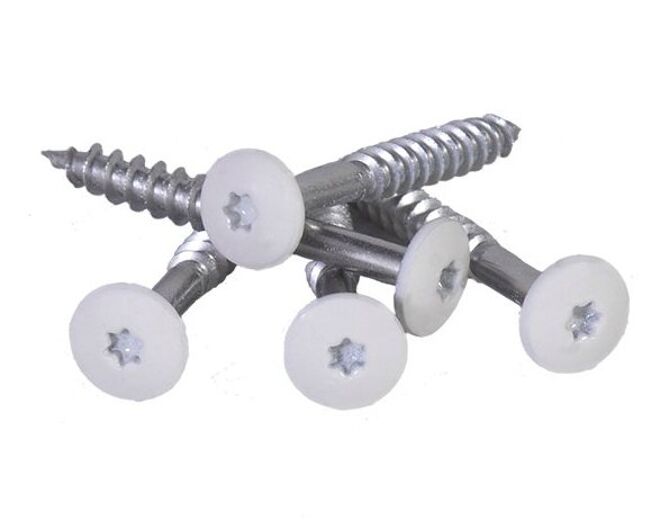RVS torxschroef 5,5 x 45 mm - 0170