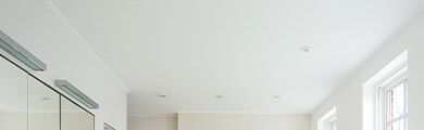 Plafondpanelen header