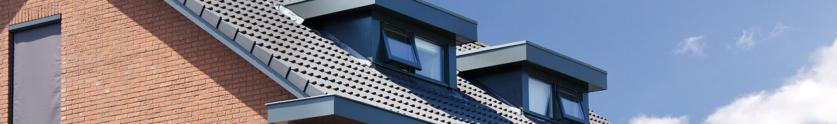 Swish dakrandpanelen header