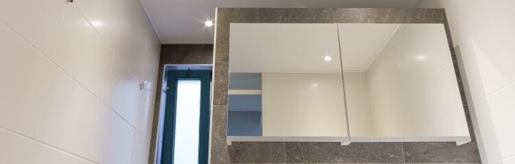 Plafondpanelen badkamer