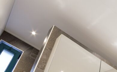 Insecten tellen Versnel Remmen Plafond badkamer vervangen - NPI onderhoudsarme bouwproducten