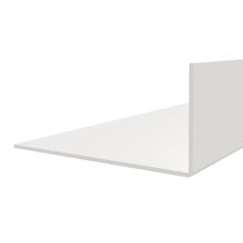 Hoekprofiel 100 x 50 x 3 mm