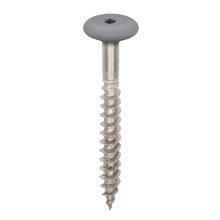 RVS torxschroef 5,5 x 45 mm 100 stuks