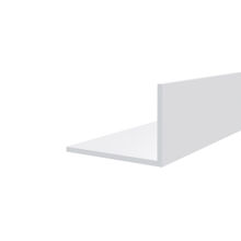 Hoekprofiel 30 x 20 x 2 mm