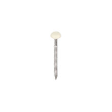 RVS polytop spijker 40 mm 250 stuks