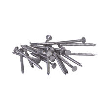 RVS nagel 33 mm 250 stuks
