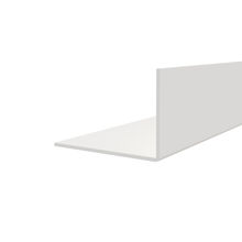 Hoekprofiel 60 x 40 x 3 mm