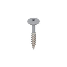 RVS torxschroef 32 mm 100 stuks